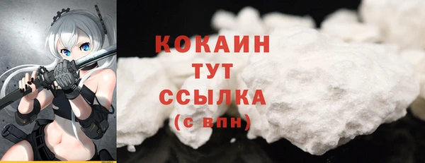 гашик Белокуриха