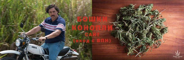 гашик Белокуриха