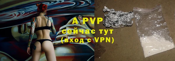 гашик Белокуриха
