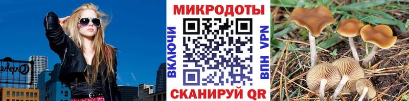 где продают   Люберцы  Галлюциногенные грибы прущие грибы 